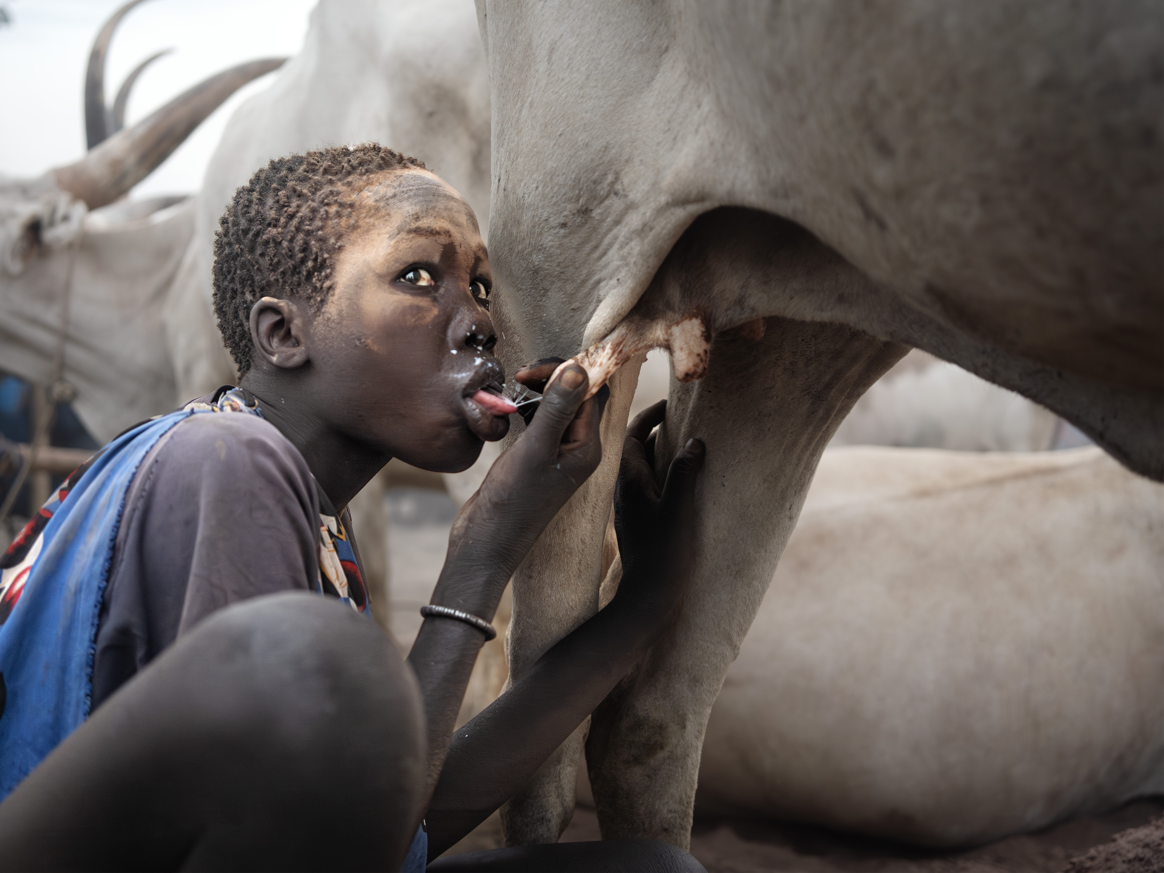 Fotografía de la serie 'Ecosistema Mundari', de Catalina Gómez, ganadora de esta edición del Certamen de Fotografía Solidaria | Diputación de Jaén | Ampliar imagen